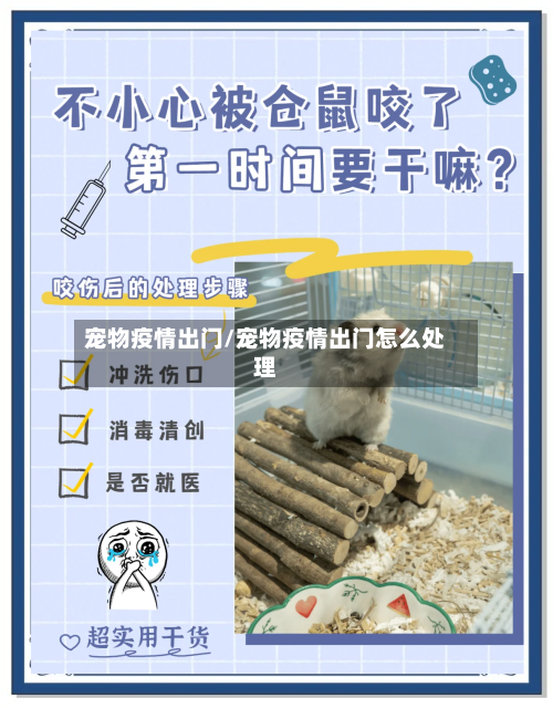 宠物疫情出门/宠物疫情出门怎么处理