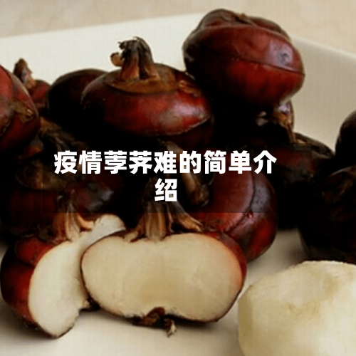 疫情荸荠难的简单介绍