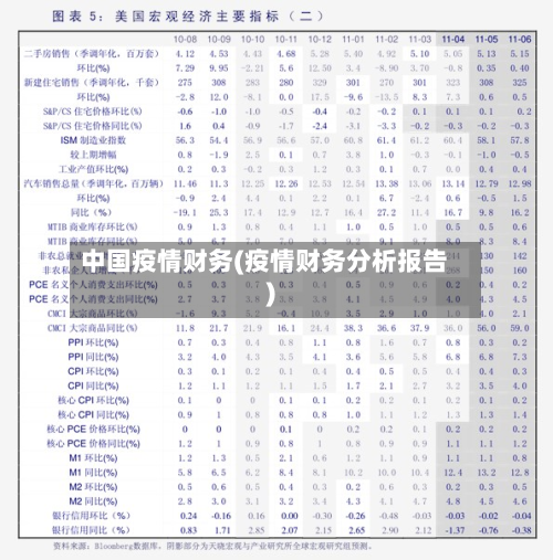 中国疫情财务(疫情财务分析报告)
