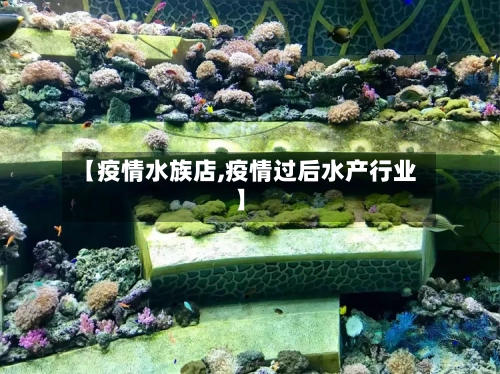 【疫情水族店,疫情过后水产行业】