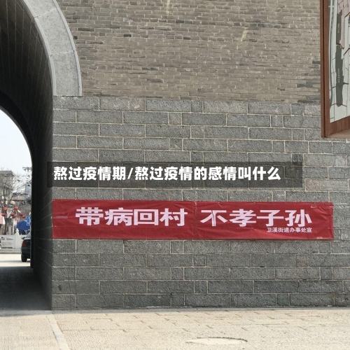 熬过疫情期/熬过疫情的感情叫什么
