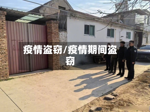 疫情盗窃/疫情期间盗窃