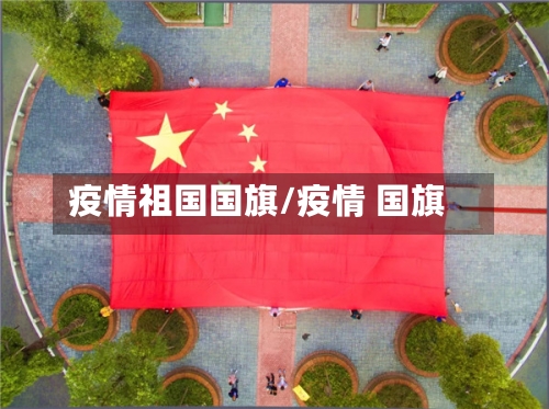 疫情祖国国旗/疫情 国旗