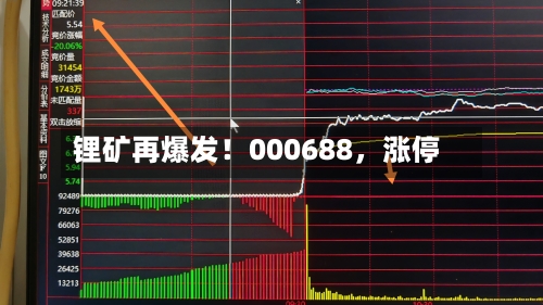锂矿再爆发!000688,涨停