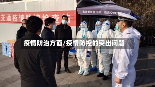 疫情防治方面/疫情防控的突出问题