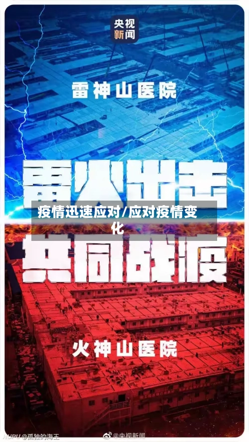 疫情迅速应对/应对疫情变化
