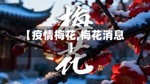 【疫情梅花,梅花消息】