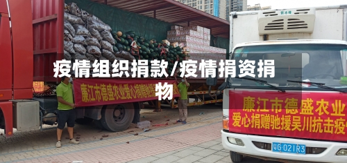 疫情组织捐款/疫情捐资捐物