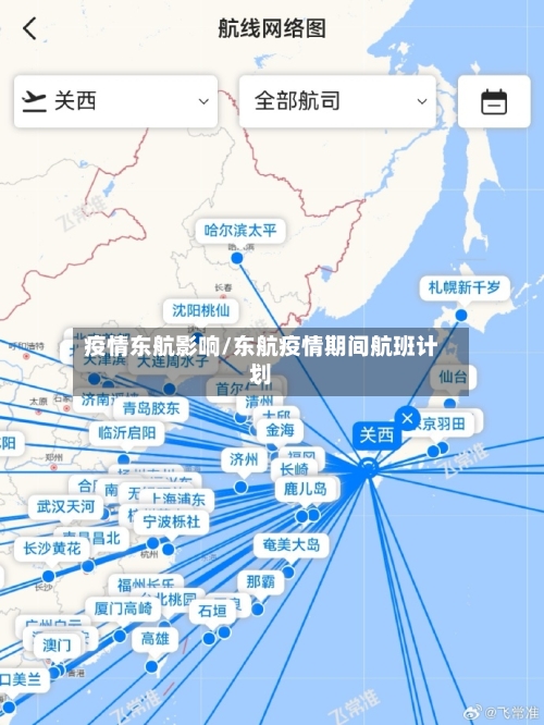 疫情东航影响/东航疫情期间航班计划