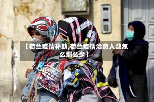 【荷兰疫情补助,荷兰疫情治愈人数怎么那么少】