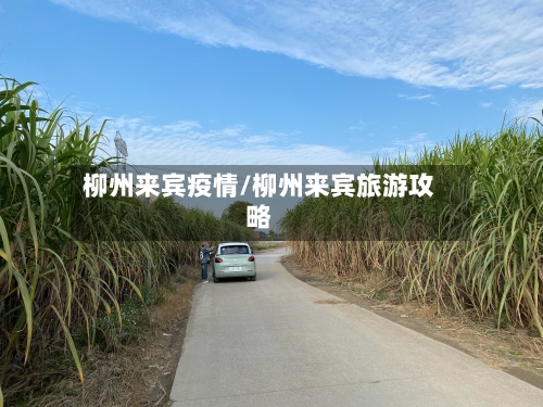柳州来宾疫情/柳州来宾旅游攻略