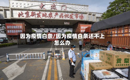 因为疫情白条/因为疫情白条还不上怎么办