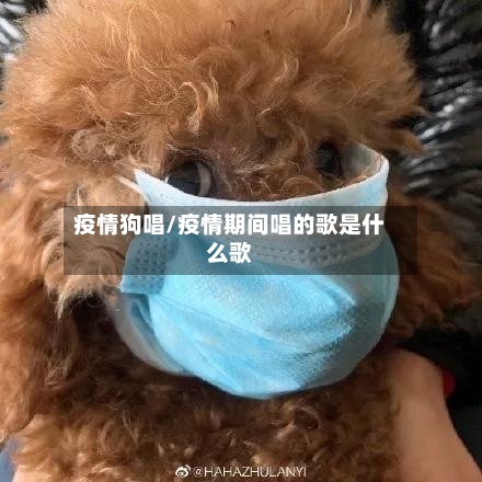 疫情狗唱/疫情期间唱的歌是什么歌