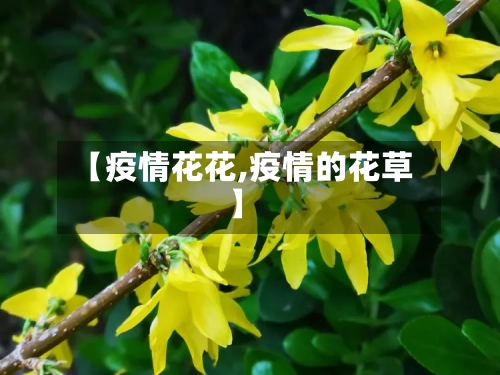 【疫情花花,疫情的花草】