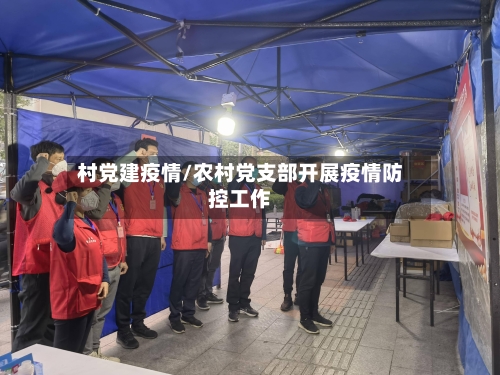 村党建疫情/农村党支部开展疫情防控工作