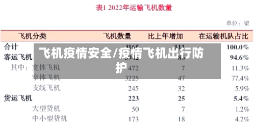 飞机疫情安全/疫情飞机出行防护