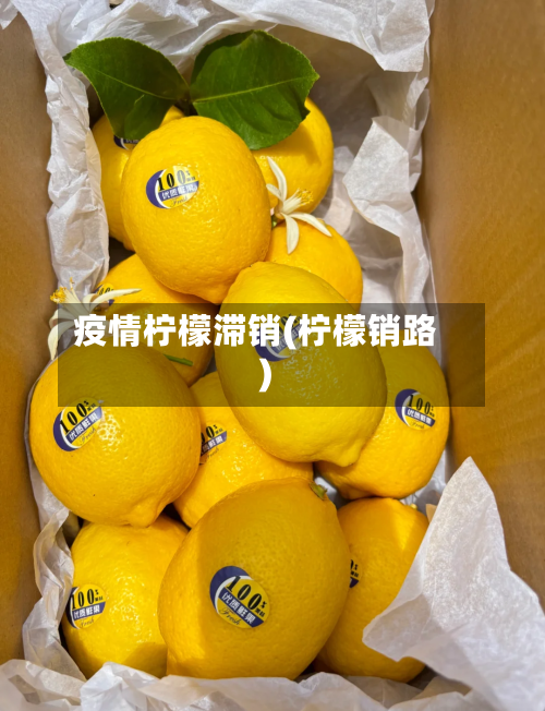 疫情柠檬滞销(柠檬销路)