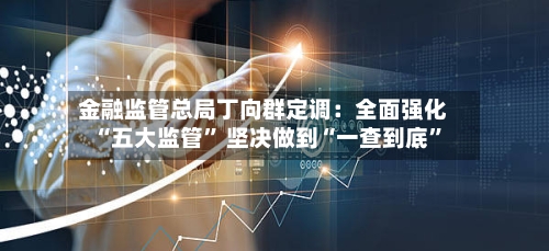 金融监管总局丁向群定调:全面强化“五大监管” 坚决做到“一查到底”