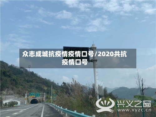 众志成城抗疫情疫情口号/2020共抗疫情口号