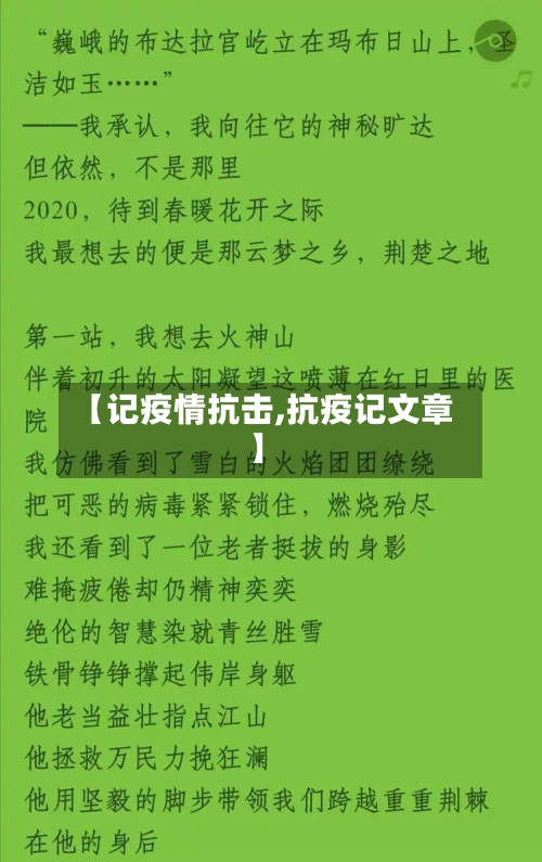 【记疫情抗击,抗疫记文章】