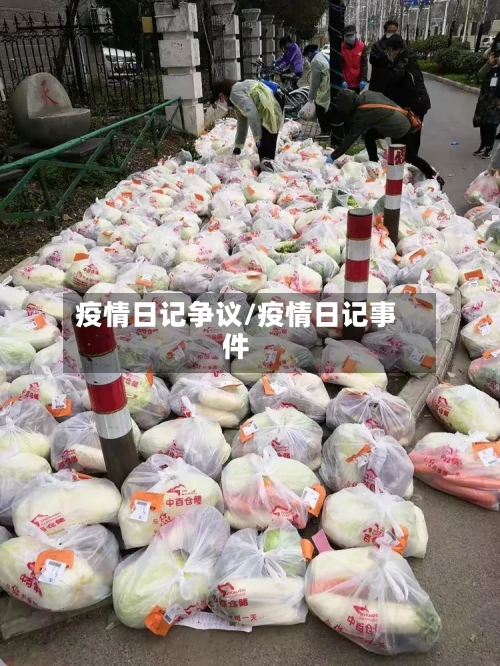 疫情日记争议/疫情日记事件