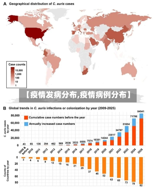 【疫情发病分布,疫情病例分布】