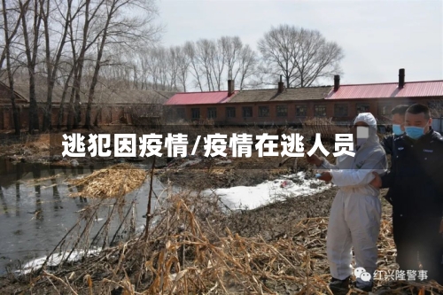 逃犯因疫情/疫情在逃人员