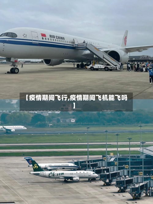 【疫情期间飞行,疫情期间飞机能飞吗】