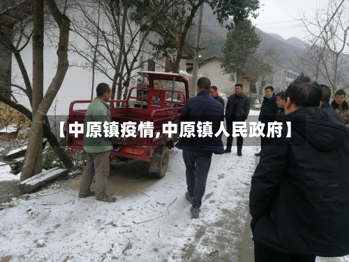 【中原镇疫情,中原镇人民政府】