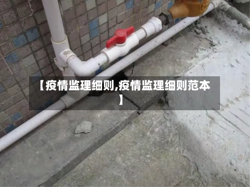 【疫情监理细则,疫情监理细则范本】