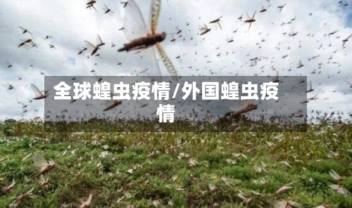 全球蝗虫疫情/外国蝗虫疫情