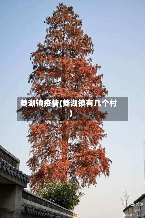 菱湖镇疫情(菱湖镇有几个村)