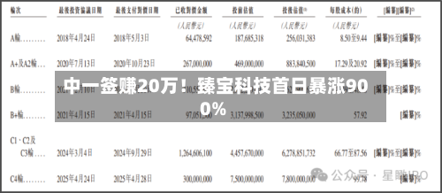 中一签赚20万!臻宝科技首日暴涨900%