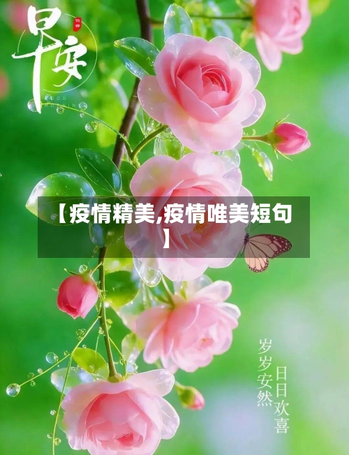 【疫情精美,疫情唯美短句】