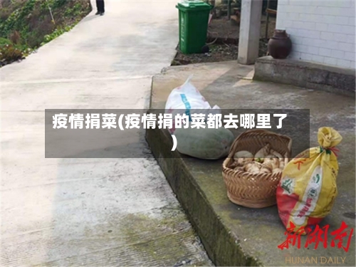 疫情捐菜(疫情捐的菜都去哪里了)