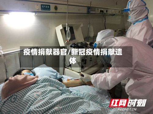 疫情捐献器官/新冠疫情捐献遗体