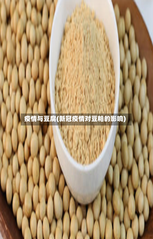 疫情与豆腐(新冠疫情对豆粕的影响)