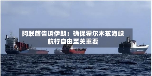 阿联酋告诉伊朗：确保霍尔木兹海峡航行自由至关重要