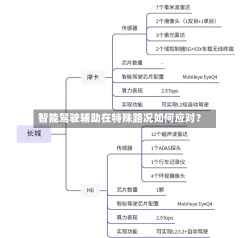 智能驾驶辅助在特殊路况如何应对？