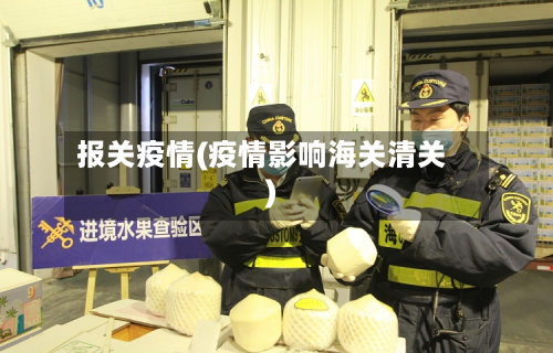 报关疫情(疫情影响海关清关)