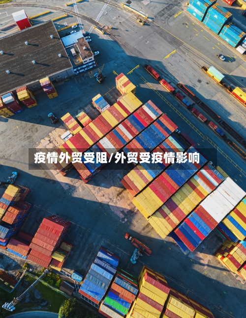 疫情外贸受阻/外贸受疫情影响