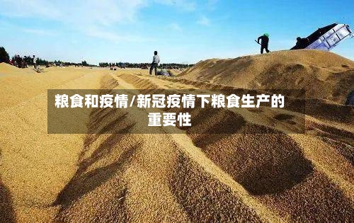 粮食和疫情/新冠疫情下粮食生产的重要性