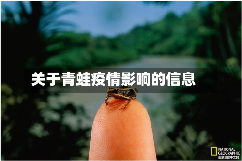 关于青蛙疫情影响的信息