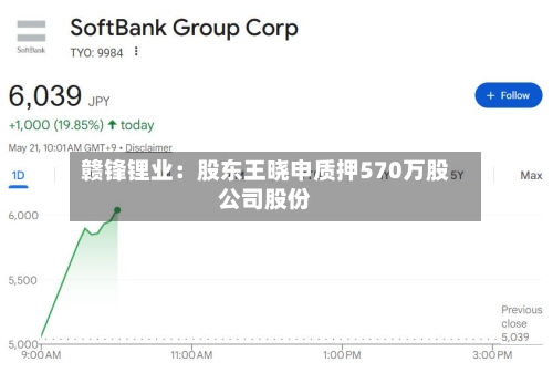 赣锋锂业:股东王晓申质押570万股公司股份