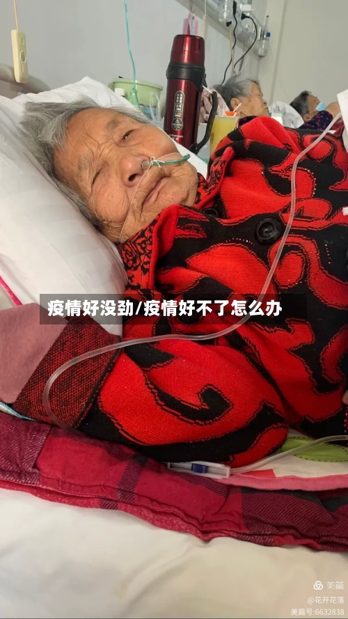 疫情好没劲/疫情好不了怎么办