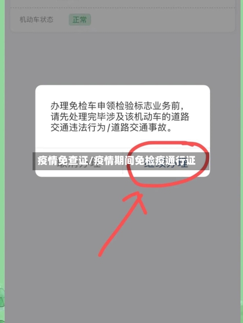 疫情免查证/疫情期间免检疫通行证