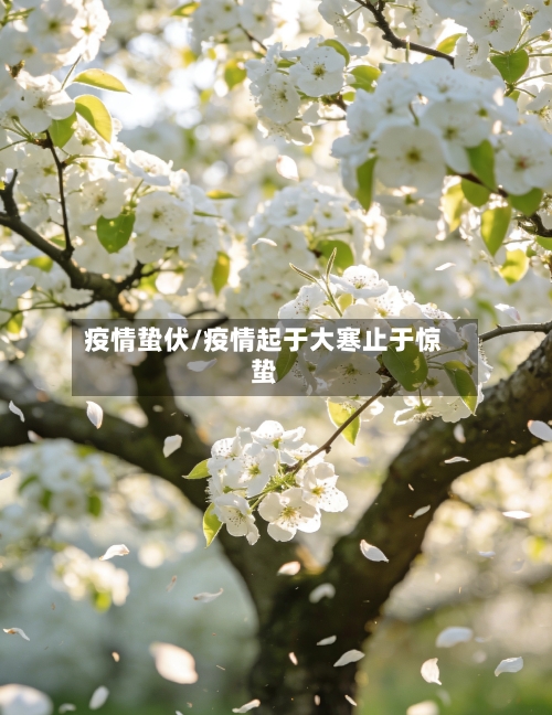 疫情蛰伏/疫情起于大寒止于惊蛰