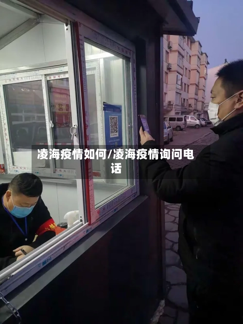 凌海疫情如何/凌海疫情询问电话