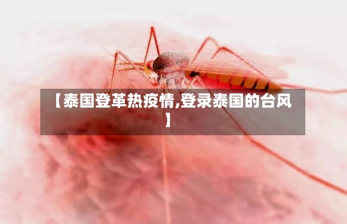 【泰国登革热疫情,登录泰国的台风】