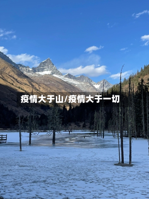 疫情大于山/疫情大于一切